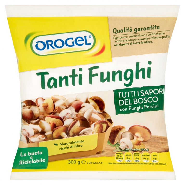 OROGEL TANTI FUNGHI GR.300                        