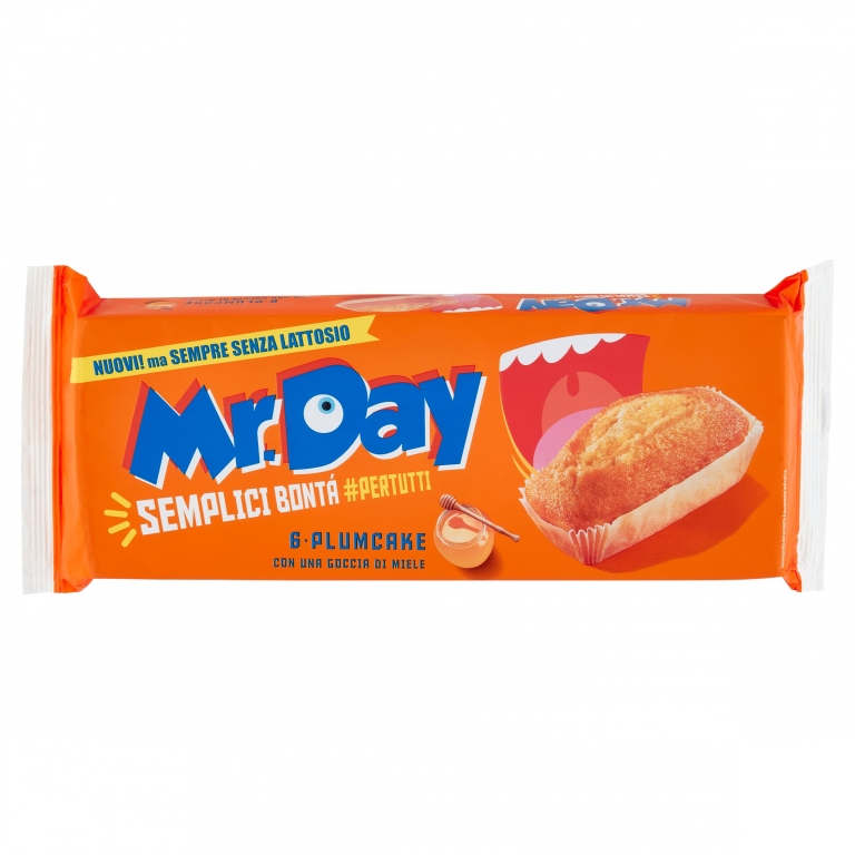 PLUMCAKE MR.DAY CLASSICO GR.190 S/LATTOSIO        