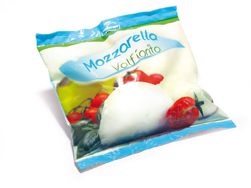 MOZZARELLA VALFIORITA BAYERNLAND GR.100X3         