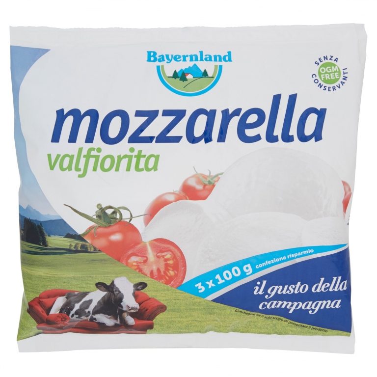 MOZZARELLA VALFIORITA BAYERNLAND GR.100X3         