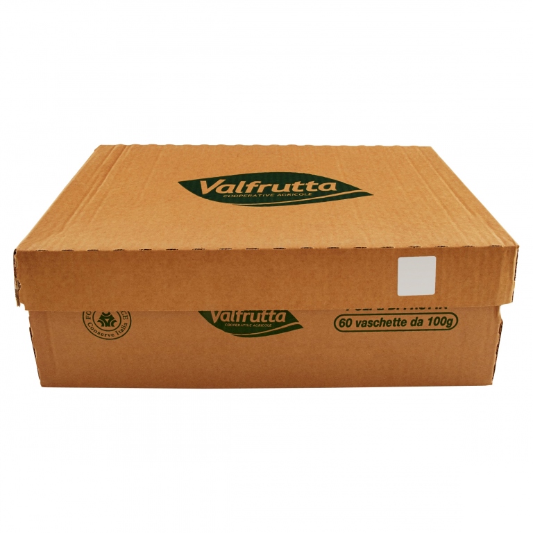 VALFRUTTA POLPA DI FRUTTA PERA GR.100X60          