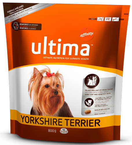 ULTIMA YORKSHIRE TERRIER GR.800 SPECIAL DOG       