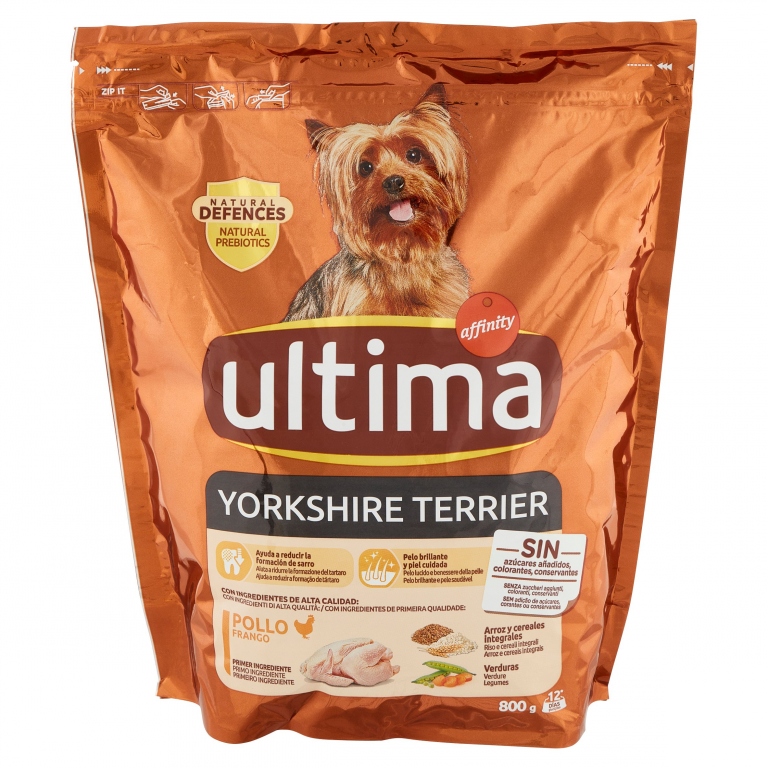 ULTIMA YORKSHIRE TERRIER GR.800 SPECIAL DOG       