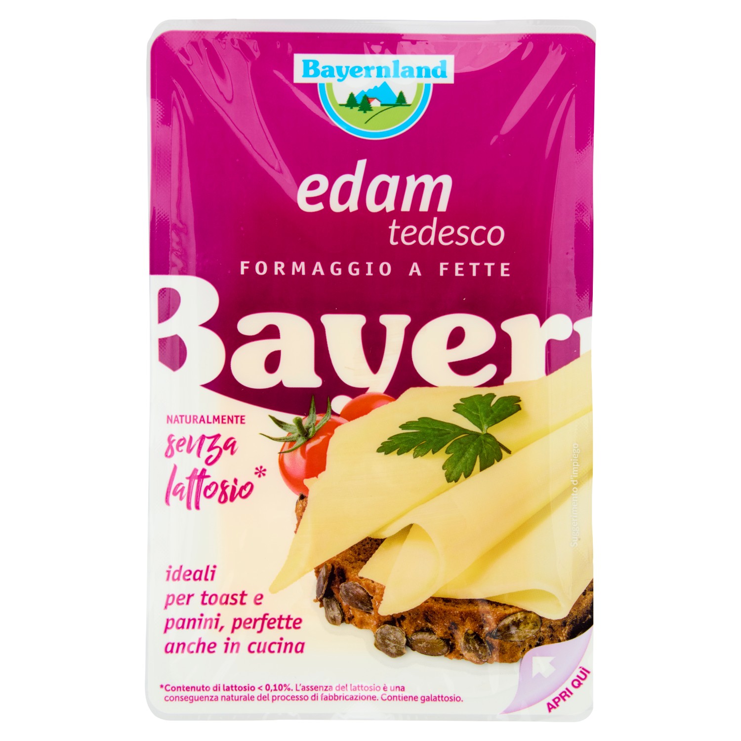 EDAMER FETTE SENZA LATTOSIO BAYERNLAND GR.100     