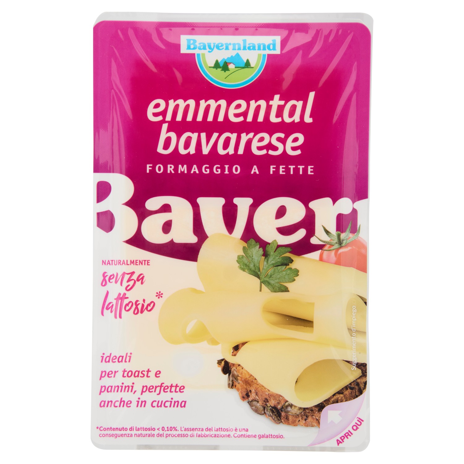 EMMENTAL FETTE SENZA LATTOSIO BAYERNLAND GR.100   