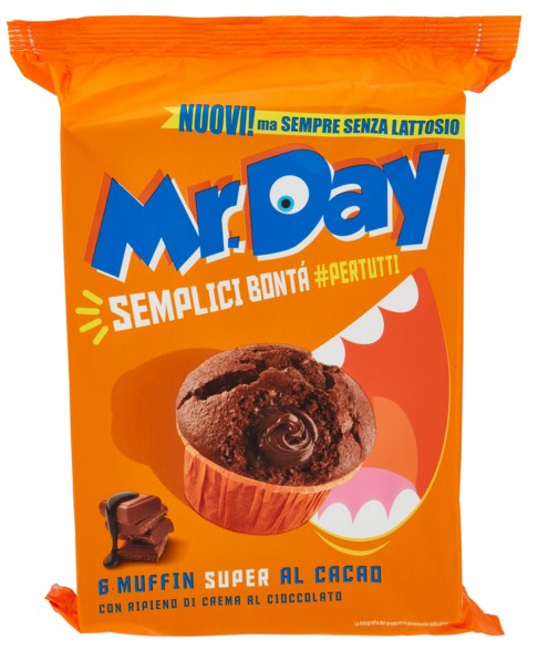 MUFFIN MR DAY CIOCCOL.GR.300 S/LATTOSIO           