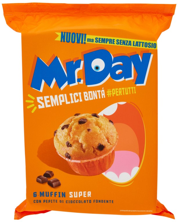 MUFFIN MR DAY CLASSICO GR.300 S/LATTOSIO          