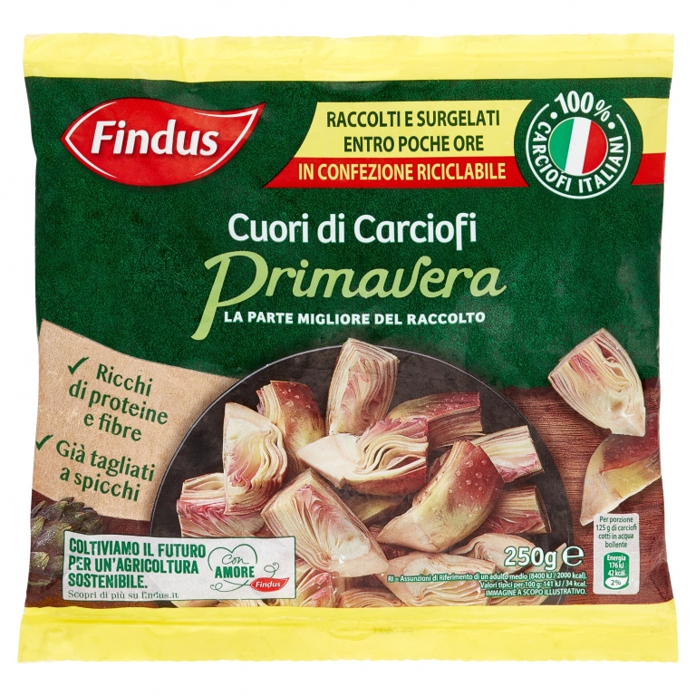 CUORI DI CARCIOFI FINDUS GR.250                   