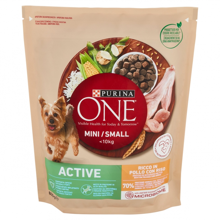 PURINA ONE CANE SECCO GR.800 POLLO                