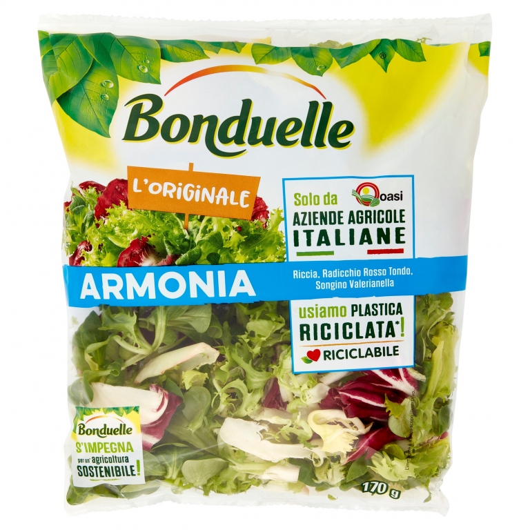 ARMONIA BONDUELLE BS GR.170                       