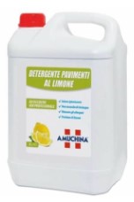 AMUCHINA PROFESSIONAL PAVIMENTI LIMONE LT.5       