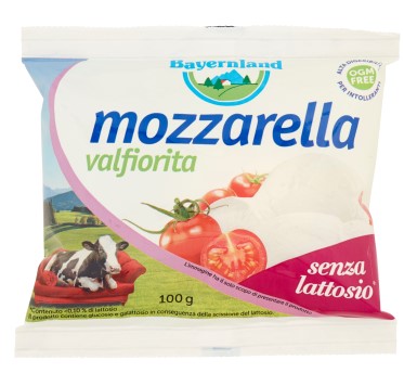 MOZZARELLA SENZA LATTOSIO BAYERNLAND GR.100       