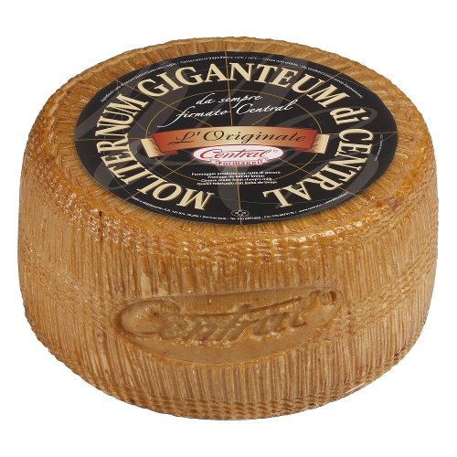 FORM.PEC.MOLITERNUM GIGANTEUM AL KG.CENTRAL SV    