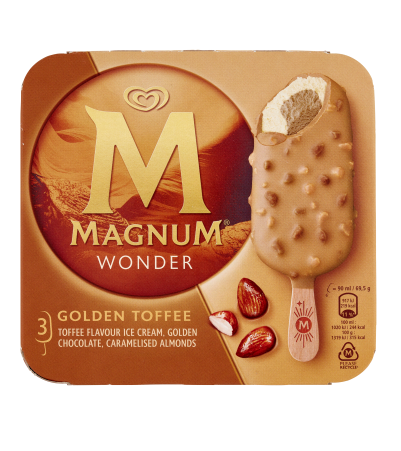 ALGIDA MAGNUM WONDER X3                           