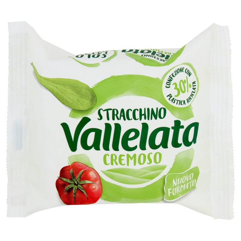 STRACCHINO VALLELATA GR.90                        