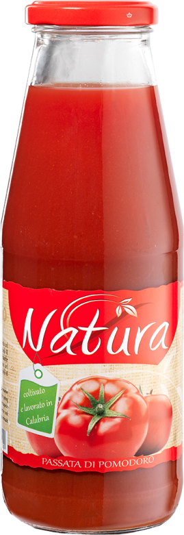 PASSATA NATURA ML.720                             