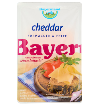 CHEDDAR FETTE SENZA LATTOSIO BAYERNLAND GR.100    