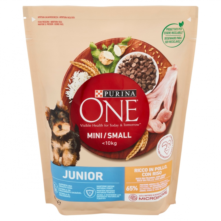 PURINA ONE CANE JUNIO SECCO GR.800 POLLO RISO     