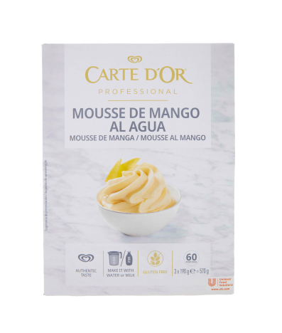 CARTE D'OR MOUSSE MANGO GR.570                    