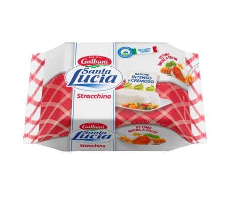 STRACCHINO SANTA LUCIA GR.100                     