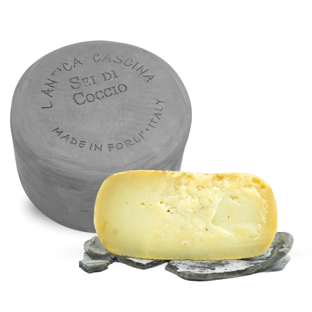 FORM.SEI DI COCCIO ANTICA CASCINA DISPLAY         