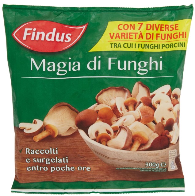 FINDUS MAGIA DI FUNGHI GR.300                     