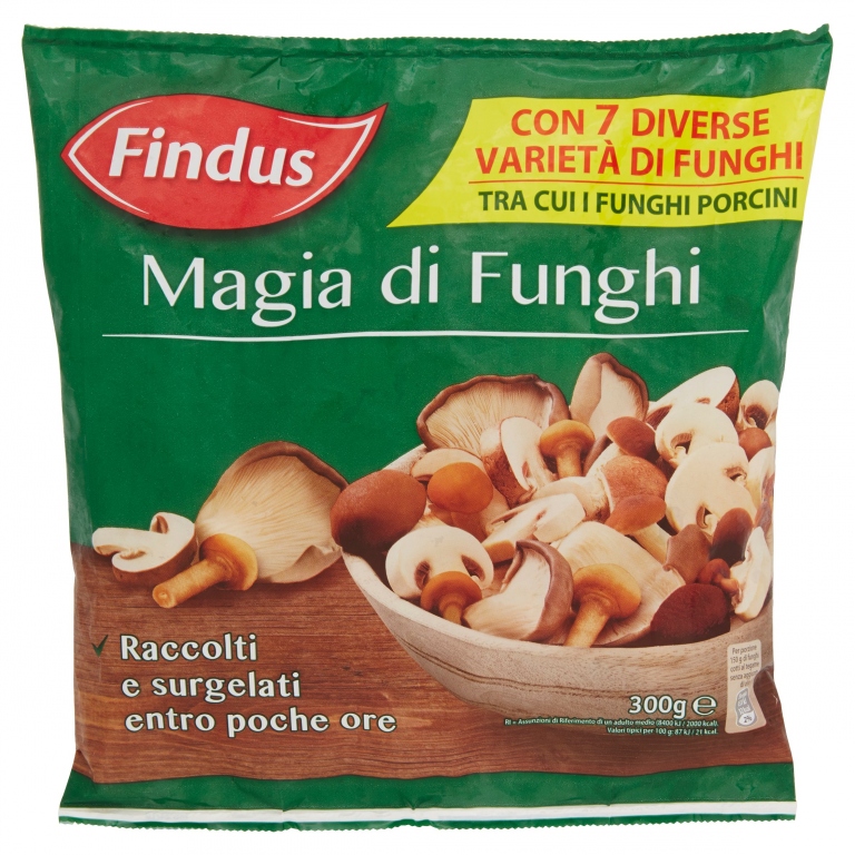 FINDUS MAGIA DI FUNGHI GR.300                     