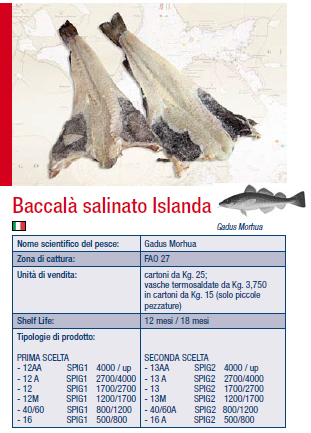 BACCALA'SAL.ISL.12M VISIR (GADUS MORHUA FA027)    