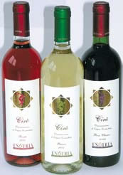 VINO CIRO' ENOTRIA ROSSO DOC CL.75                