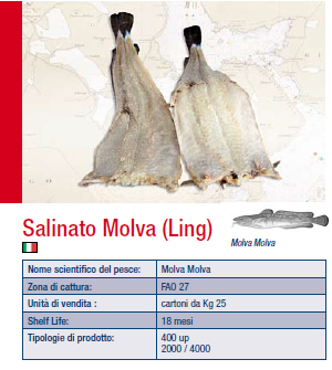 SALINATO MOLVA LING 2000/4000 VISIR KG.25MOLVAMOLV