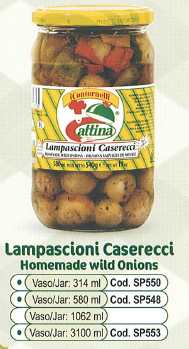 LAMPASCIONI ATTINA' KG.3.1                        