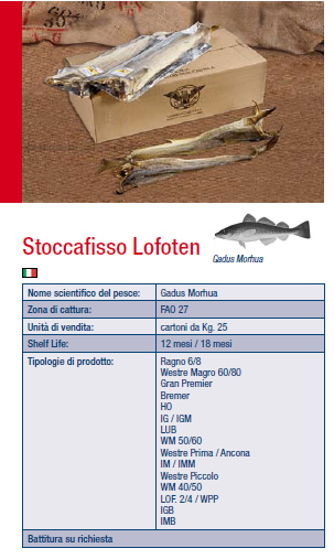 STOCCAFISSO LUB LOFOTEN (GADUS MORHUA FA027)      