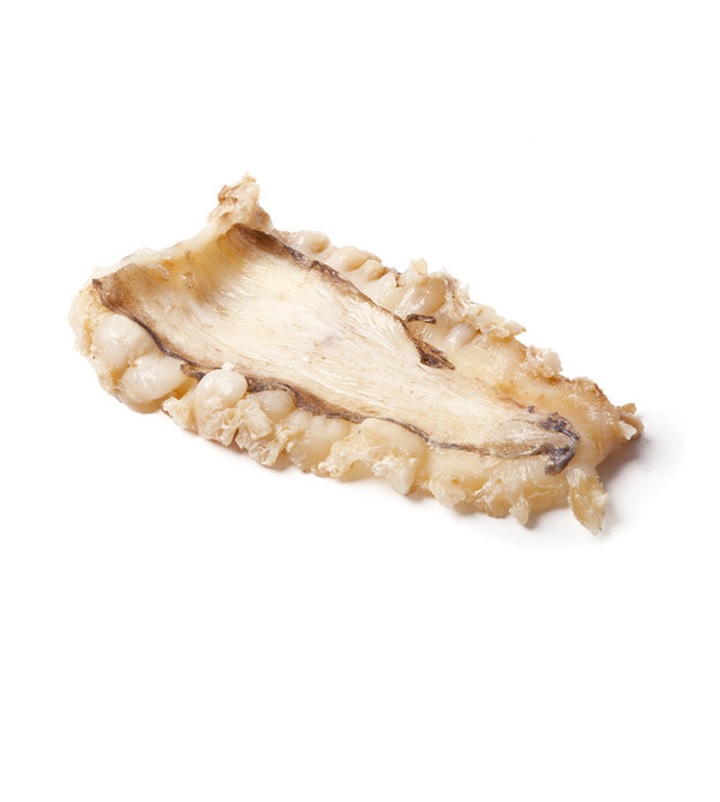 VENTRI DI STOCCO (GADUS MORHUA FAO27)             